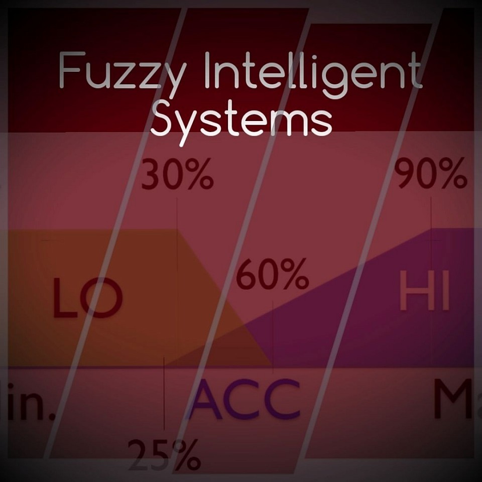 Fuzzy intelligent systems